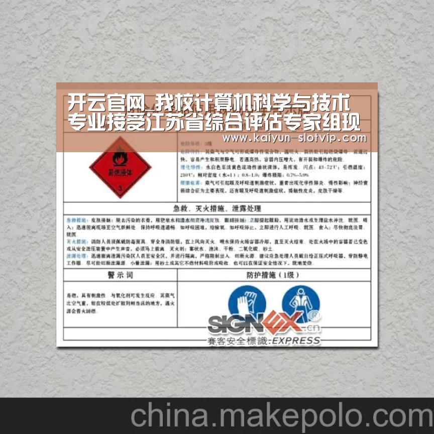 开云官网_我校计算机科学与技术专业接受江苏省综合评估专家组现场考察(图3) 开云百家乐