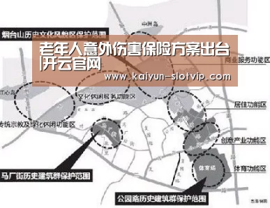 老年人意外伤害保险方案出台|开云官网(图2) 开云官网