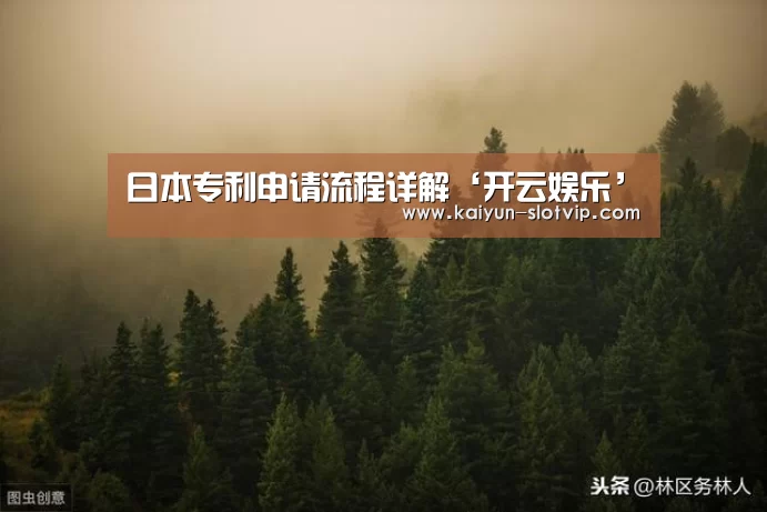 日本专利申请流程详解‘开云娱乐’(图3) 开云娱乐