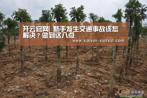 开云官网|
新手发生交通事故该怎解决?做到这八点(图3) 开云百家乐