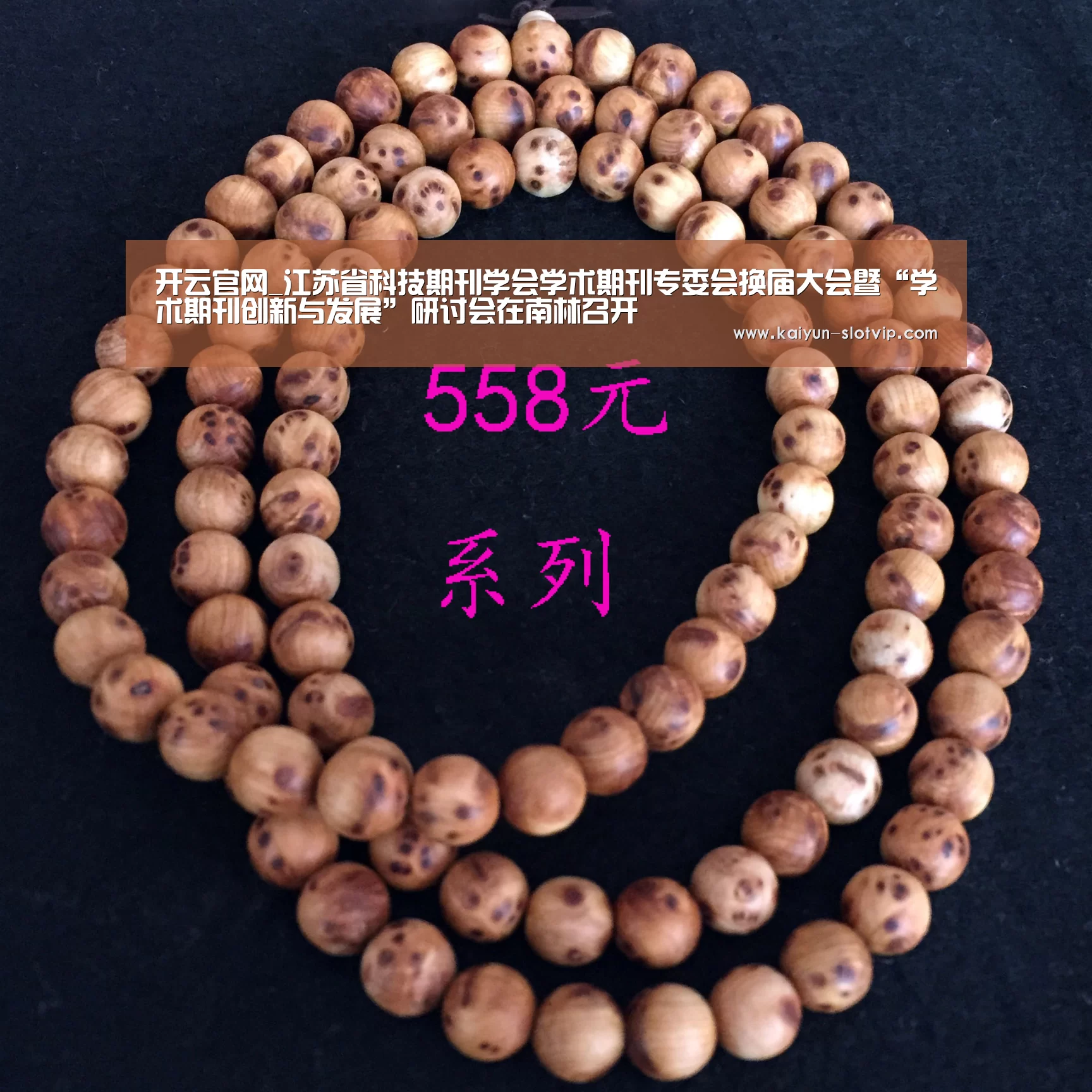 开云官网_江苏省科技期刊学会学术期刊专委会换届大会暨“学术期刊创新与发展”研讨会在南林召开(图1) 开云百家乐