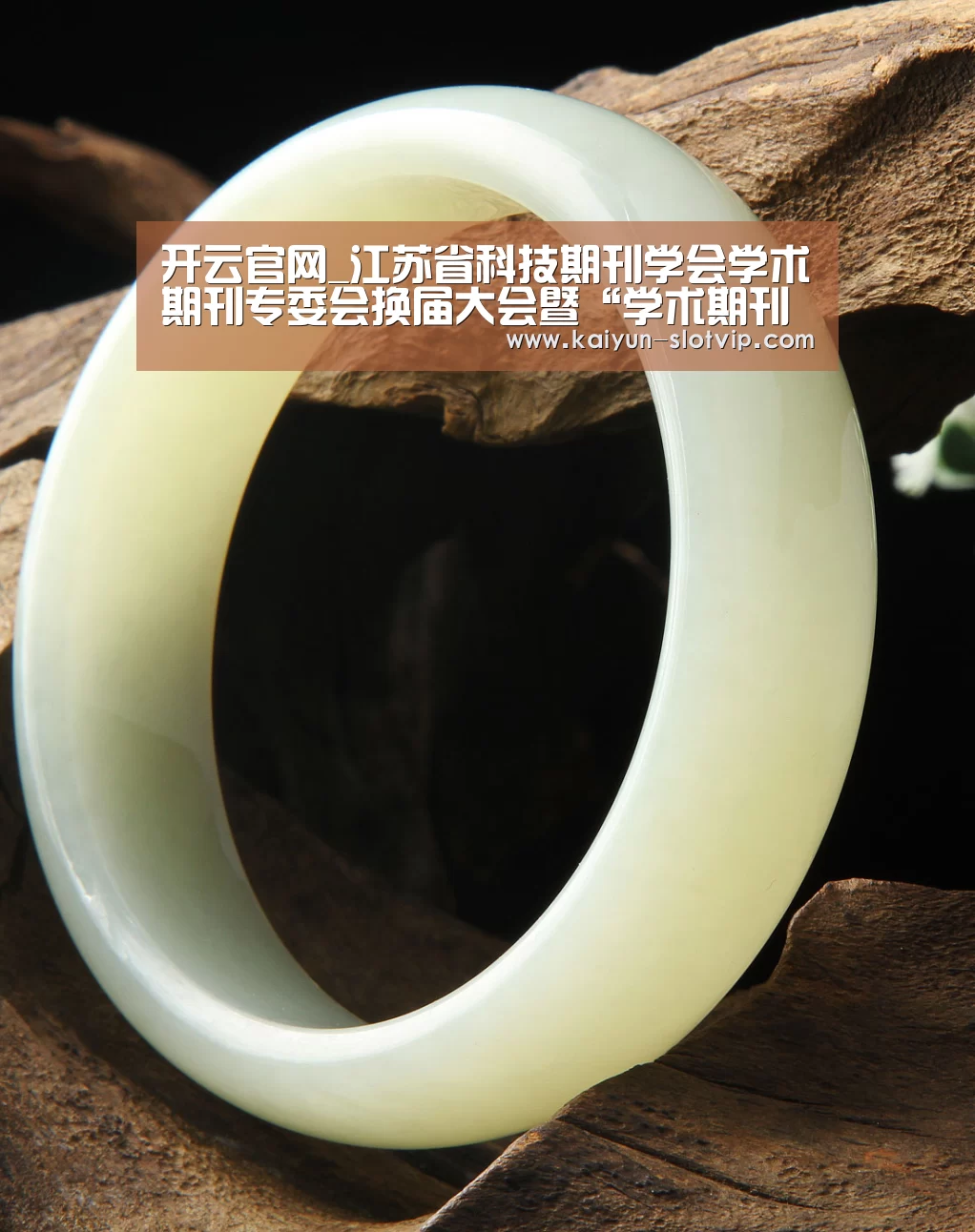 开云官网_江苏省科技期刊学会学术期刊专委会换届大会暨“学术期刊创新与发展”研讨会在南林召开(图2) 开云百家乐