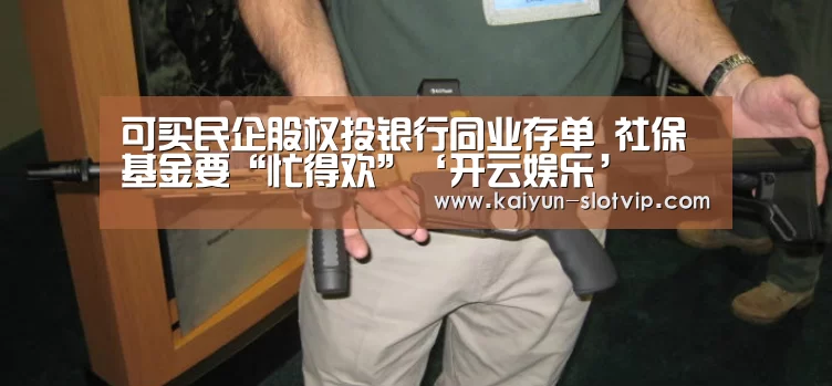 可买民企股权投银行同业存单 社保基金要“忙得欢”‘开云娱乐’(图3) 开云官网