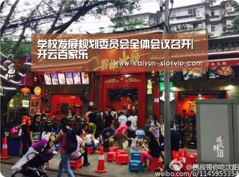 学校发展规划委员会全体会议召开|开云百家乐(图1) 开云百家乐