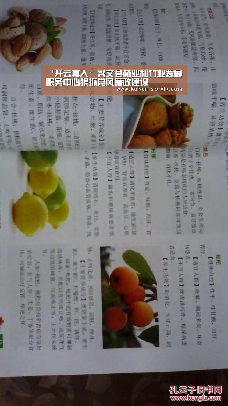 ‘开云真人’兴文县林业和竹业发展服务中心狠抓党风廉政建设(图2) 开云百家乐