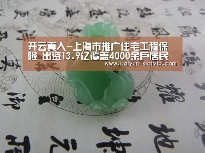 开云真人-上海市推广住宅工程保险 出资13.9亿覆盖4000余户居民(图2) 开云娱乐