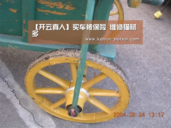 【开云真人】买车被保险 维修猫腻多(图4) 开云真人